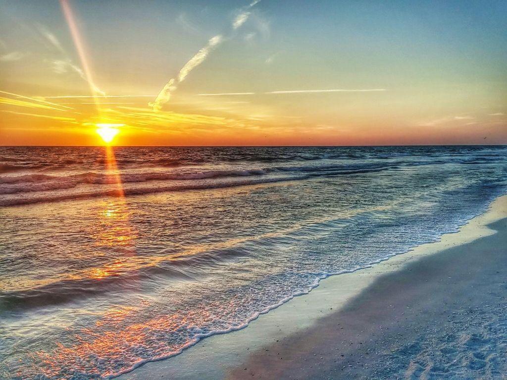 The Monterey Beach Resort St. Pete Beach Exteriör bild
